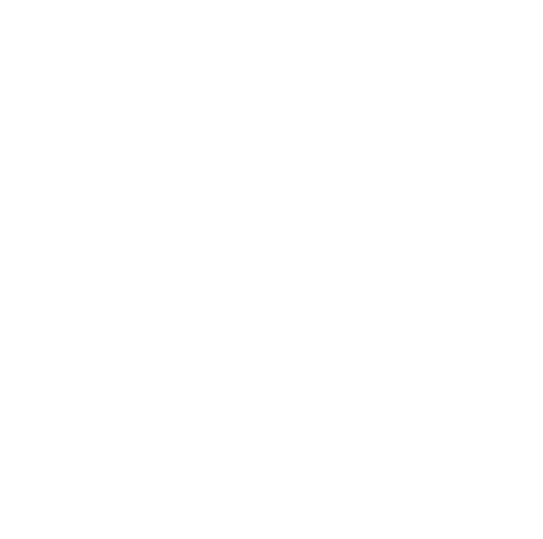 BYSE